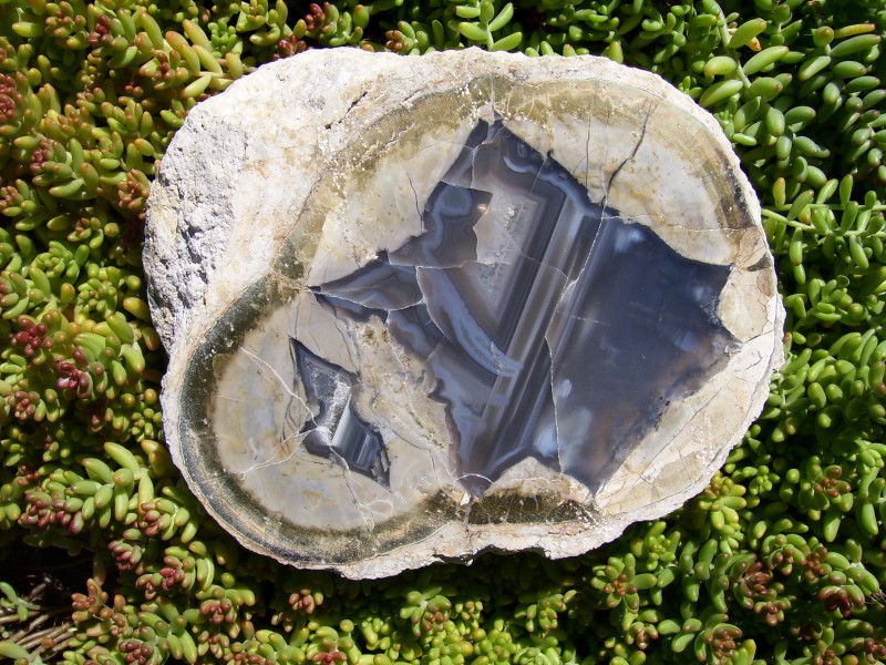 Double Naches with Dark Agate